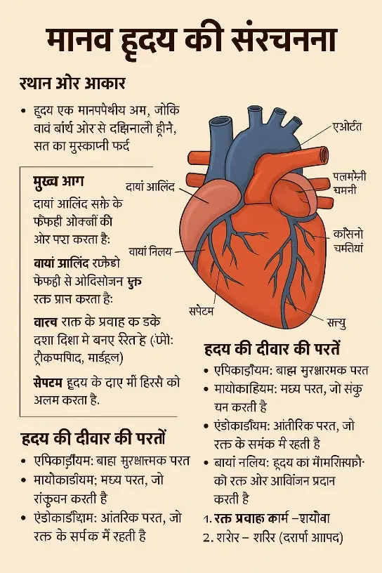 How to save heart